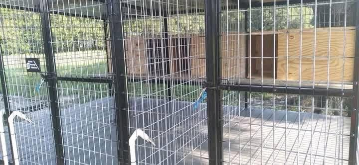 Standard 5-Bay Dog Kennel - Image 3