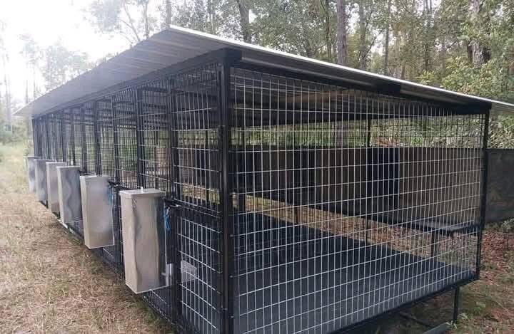 Standard 5-Bay Dog Kennel - Image 5