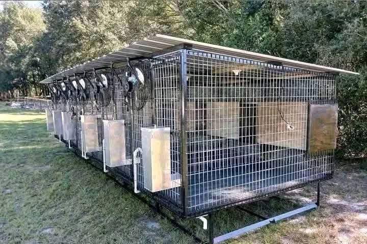 Standard 5-Bay Dog Kennel with Fans