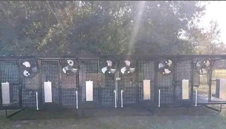 Standard 5-Bay Dog Kennel with Fans - Image 3