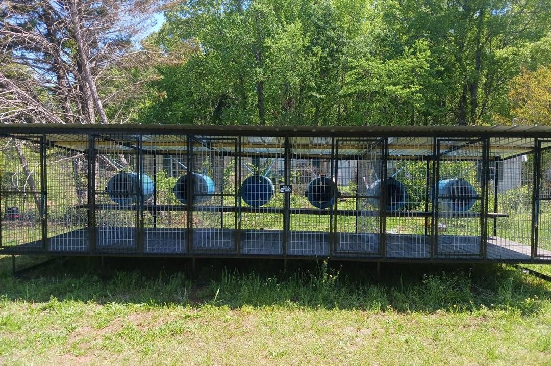 Standard Six-Bay Dog Kennel with Barrel Dog Houses