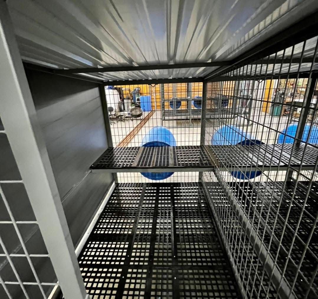 3-Hole Elevated Dog Kennel – 4’ x 6’ Compartments - Image 2