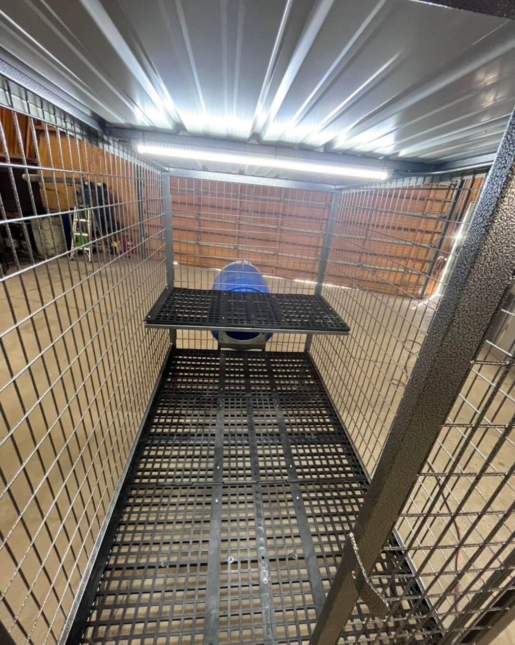 Single-Hole Elevated Dog Kennel – 4’ x 6’ - Image 3