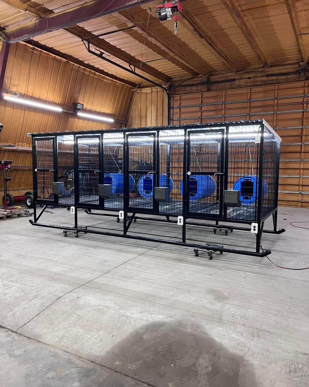 4-Hole Elevated Dog Kennel – 4’ x 6’ Compartments