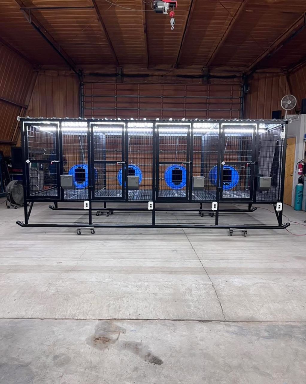 4-Hole Elevated Dog Kennel – 4’ x 6’ Compartments - Image 6