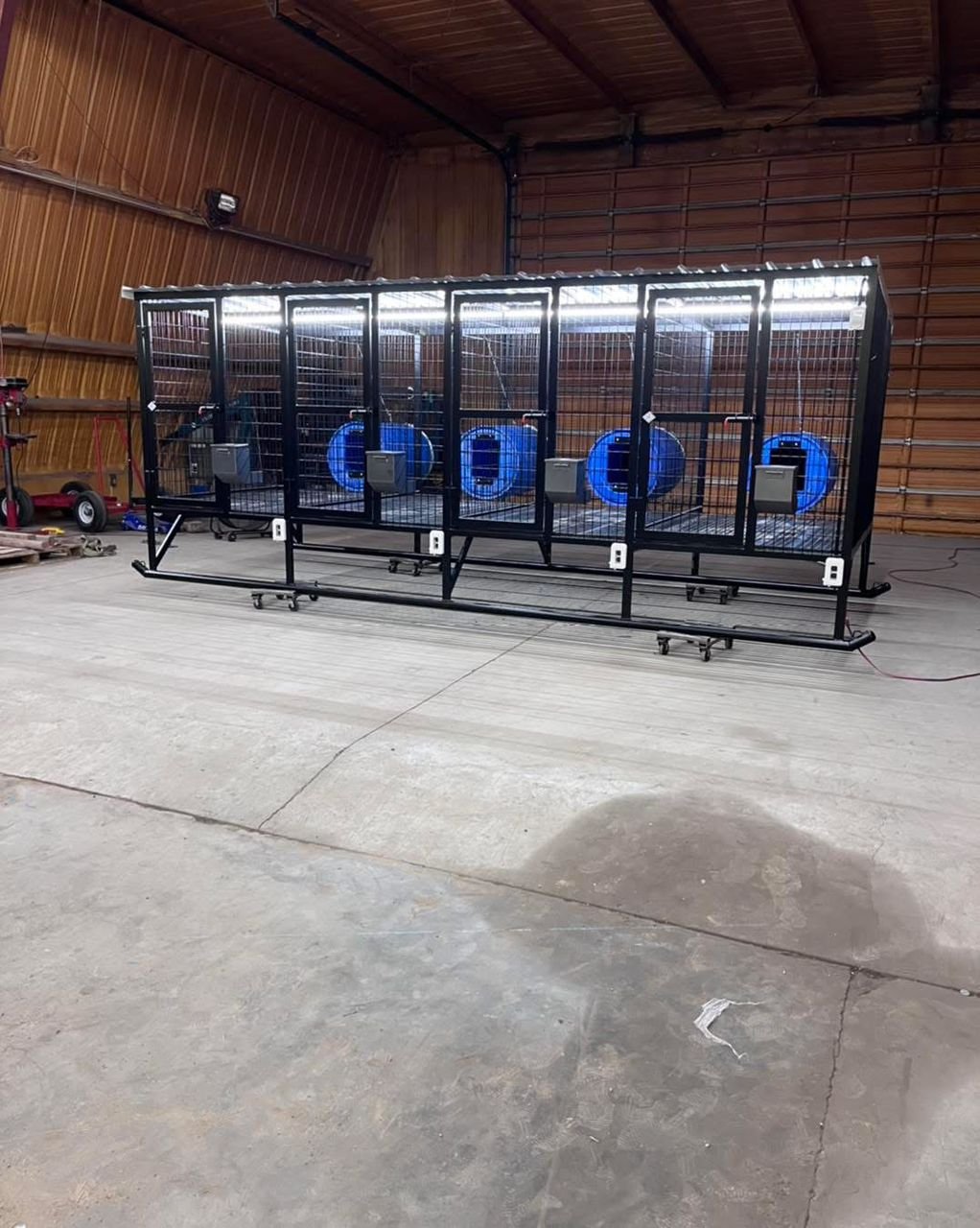 4-Hole Elevated Dog Kennel – 4’ x 6’ Compartments - Image 5